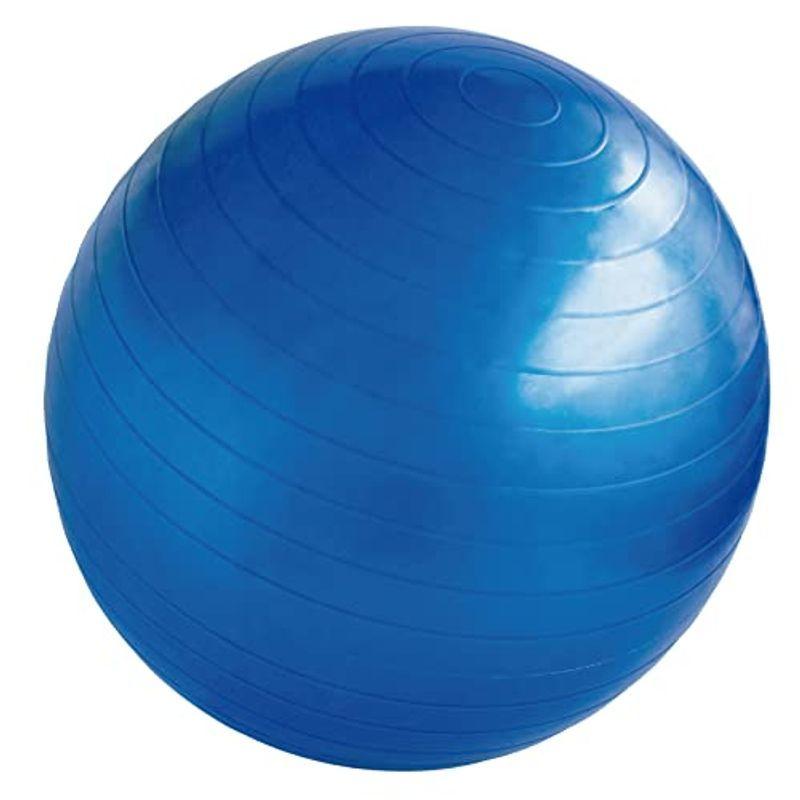 ヨガボール 55cm エクササイズ バランスボール ボール ポンプ付き 空気入れ付き 運動 便利 耐荷重180kg 38pwz6rpfi フィットネス トレーニング Phoenix Ge