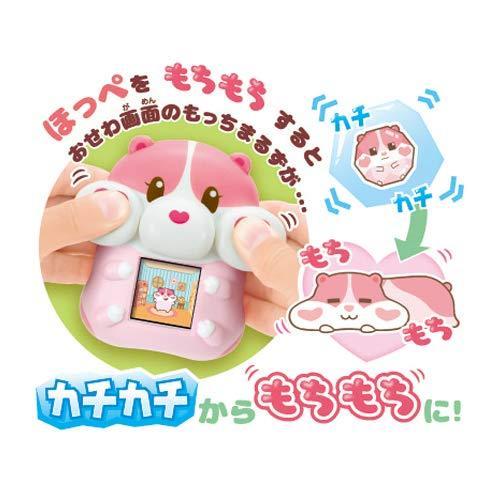 もっちまるず もっちりペット もっちまるず ベリー 92×95×55 もっちまるず ベリー