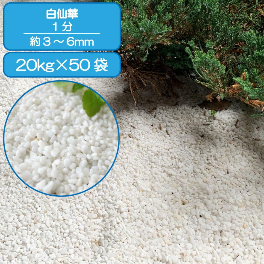TAIKOH 高級白玉石 白仙 1分 3-6mm 1000kg 化粧砂利 ホワイト 白 水磨き 玉石 極小 : 砂利んこ - 通販 ...