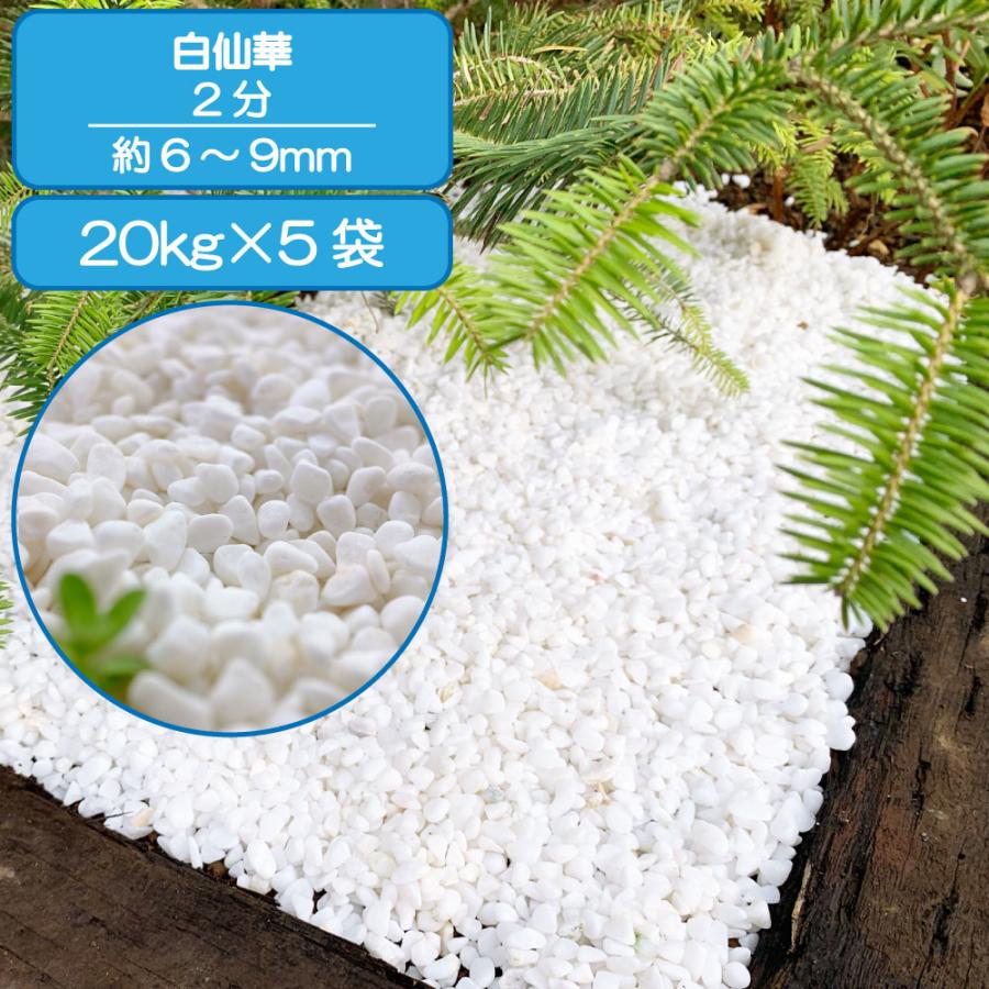 TAIKOH 高級白玉石 白仙 2分 6-9mm 100kg 化粧砂利 ホワイト 白 水磨き 玉石 小 : 砂利んこ - 通販 - Yahoo ...