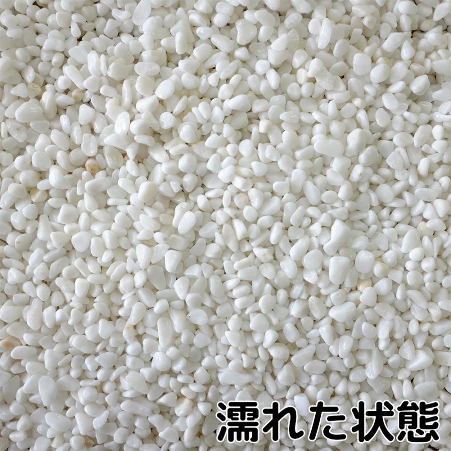 TAIKOH 高級白玉石 白仙 2分 6-9mm 100kg 化粧砂利 ホワイト 白 水磨き 玉石 小 : 砂利んこ - 通販 - Yahoo ...