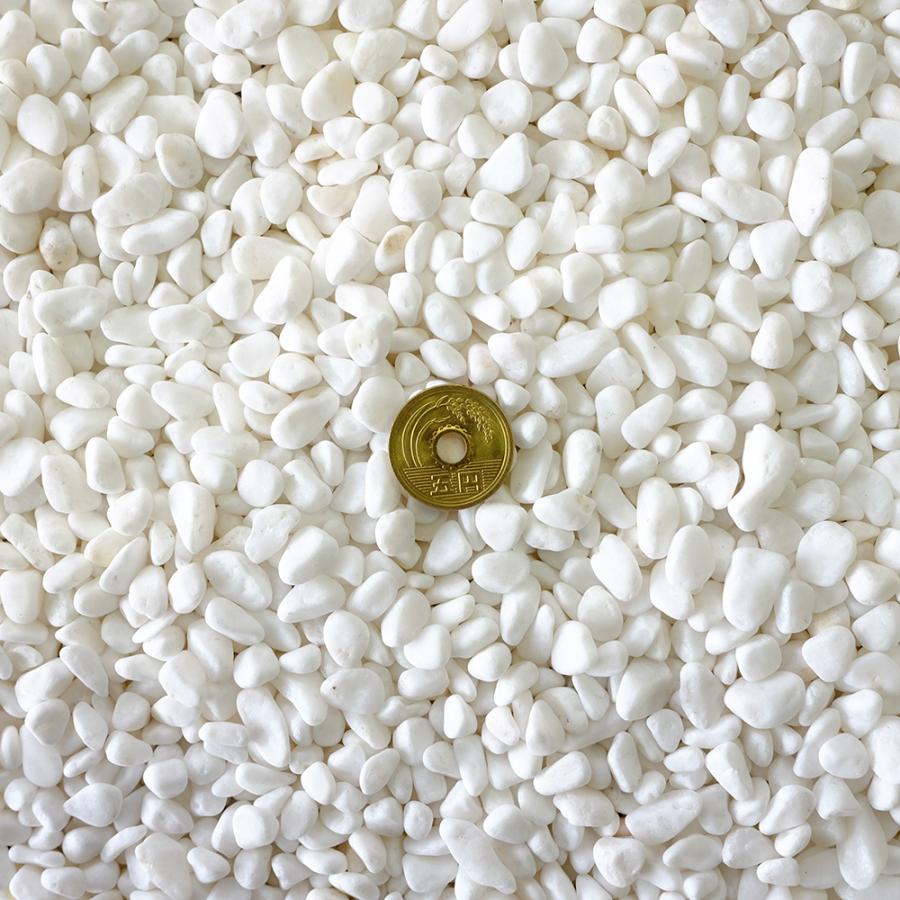 TAIKOH 高級白玉石 白仙 2分 6-9mm 100kg 化粧砂利 ホワイト 白 水磨き 玉石 小 : 砂利んこ - 通販 - Yahoo ...