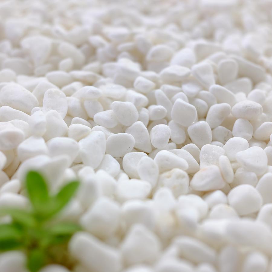 TAIKOH 高級白玉石 白仙 2分 6-9mm 400kg 化粧砂利 ホワイト 白 水磨き 玉石 小 : 砂利んこ - 通販 - Yahoo ...