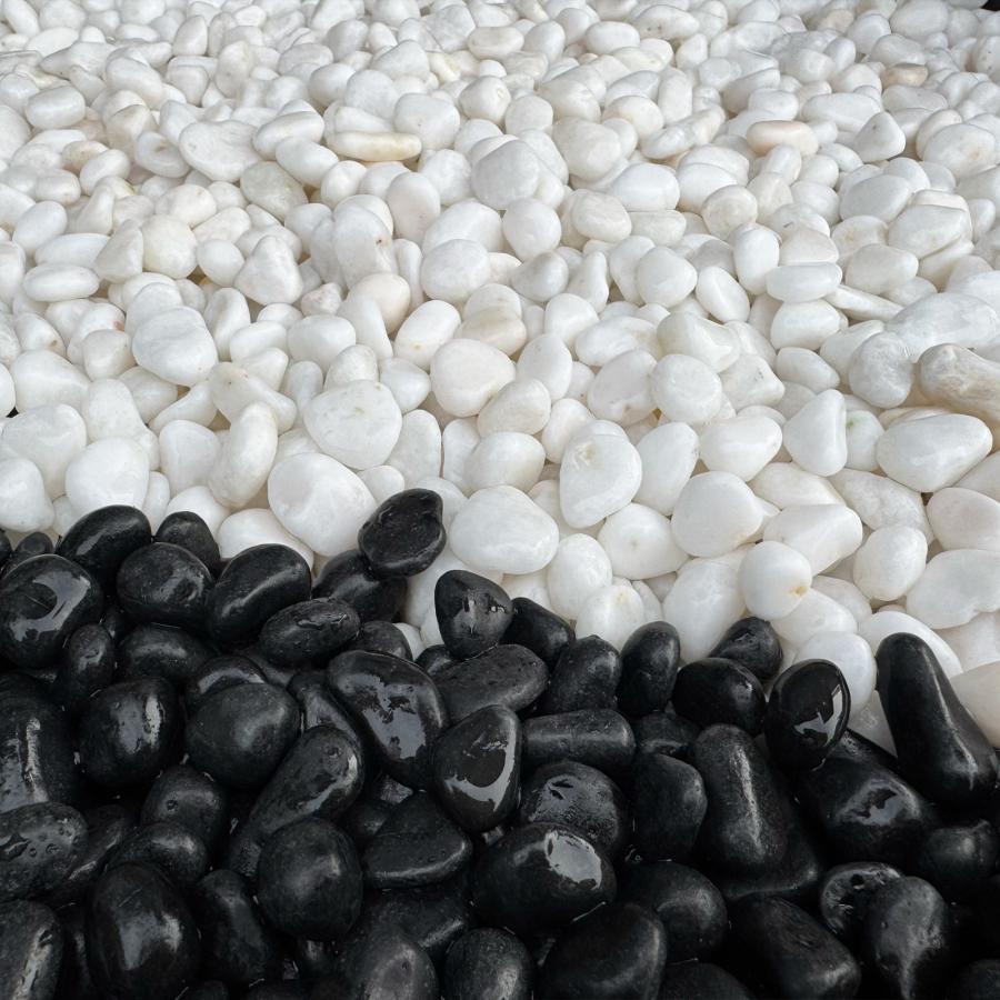 TAIKOH 高級白玉石 白仙 3分 10-15mm 10kg 化粧砂利 ホワイト 白 水磨き 玉石 小 : 砂利んこ - 通販 ...