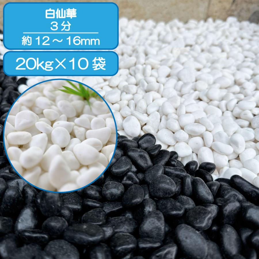 TAIKOH 高級白玉石 白仙 3分 10-15mm 200kg 化粧砂利 ホワイト 白 水磨き 玉石 小 : 砂利んこ - 通販 ...