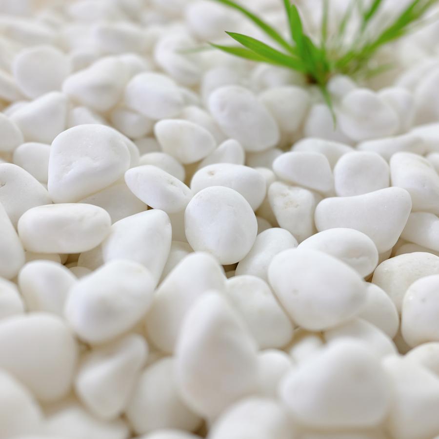 TAIKOH 高級白玉石 白仙 3分 10-15mm 200kg 化粧砂利 ホワイト 白 水磨き 玉石 小 : 砂利んこ - 通販 ...