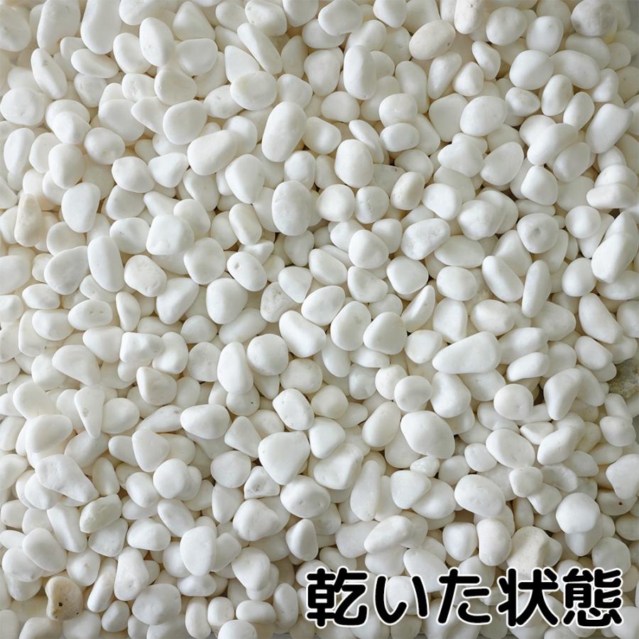 TAIKOH 高級白玉石 白仙 3分 10-15mm 400kg 化粧砂利 ホワイト 白 水磨き 玉石 小 : 砂利んこ - 通販 ...