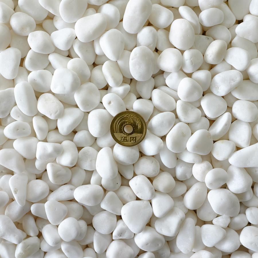 TAIKOH 高級白玉石 白仙 3分 10-15mm 800kg 化粧砂利 ホワイト 白 水磨き 玉石 小 : 砂利んこ - 通販 ...