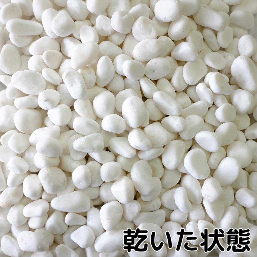 TAIKOH 高級白玉石 白仙 5分 15-20mm 10kg 化粧砂利 ホワイト 白 水磨き 玉石 中 : 砂利んこ - 通販 ...