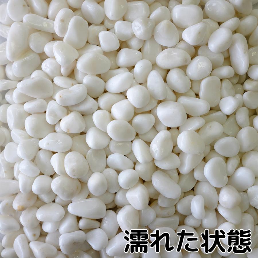 TAIKOH 高級白玉石 白仙 5分 15-20mm 10kg 化粧砂利 ホワイト 白 水磨き 玉石 中 : 砂利んこ - 通販 ...