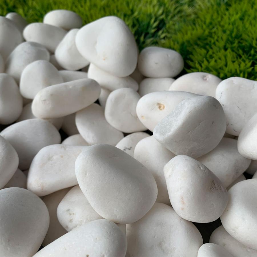 TAIKOH 高級白玉石 白仙 1寸 25-30mm 100kg 化粧砂利 ホワイト 白 水磨き 玉石 中 : 砂利んこ - 通販 ...