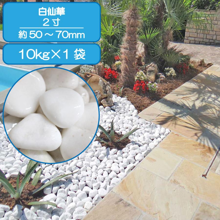 TAIKOH 高級白玉石 白仙 2寸 40-60mm 10kg 化粧砂利 ホワイト 白