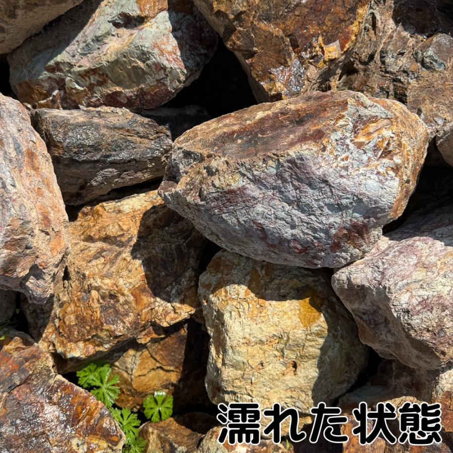 TAIKOH 岐阜チャート石 50-150mm 200kg 国産 みかも石 鵜沼石 茶 ブラウン 割石 大_3
