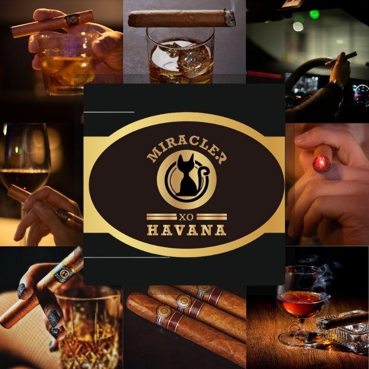 天然特大法螺貝　電子タバコ使用できます。　ワンオフ制作 本日限定 天然特大法螺貝 電子タバコ使用できます。 ワンオフ制作