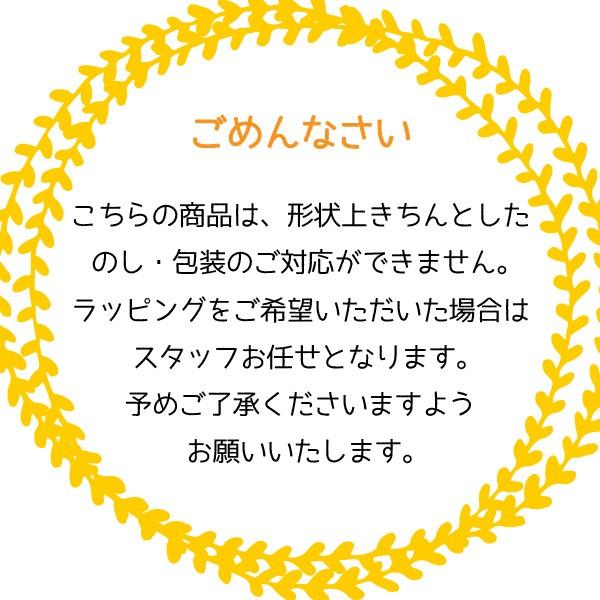 ノリタケ ベビー食器 子ども食器 ライトステップ (ブルー) 平皿 化粧箱なし のし・ラッピング対応外商品 日本製｜jyoei｜03