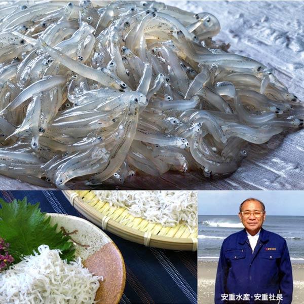 送料無料 農林水産大臣賞受賞 釜揚げしらす 360g 安重水産 鹿島灘産 メーカー・産地直送 クール便 同梱不可 初節句 母の日 父の日｜jyoei｜04