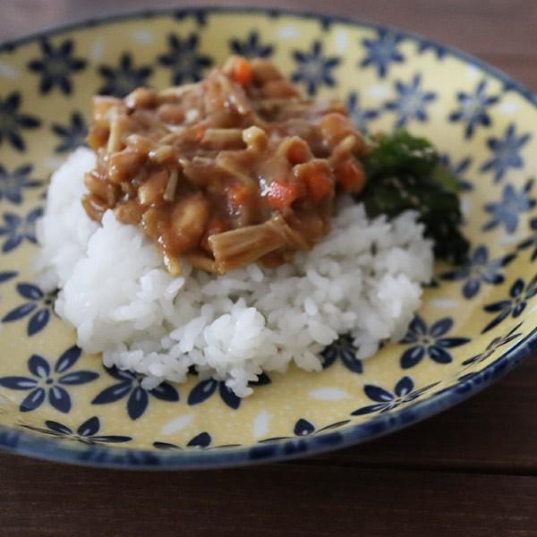美濃焼 ポタリーフィールド スープカレー皿セット Table Talk Presents 食器セット