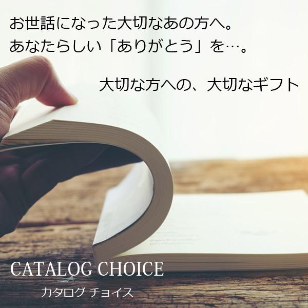 カタログギフト 内祝い カタログチョイス 30900円コース アンゴラ