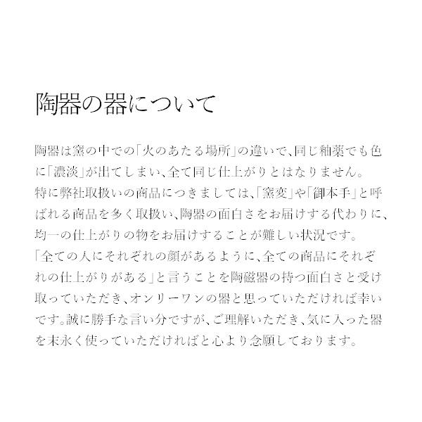 ナチュラルプレート (S) だるまとハシビロコウ 2デザインから選べる 〈HUSHIBIRUKO-PL〉 ずっとあるのに、いつもあたらしい 日常使いの器 美濃焼｜jyoei｜06