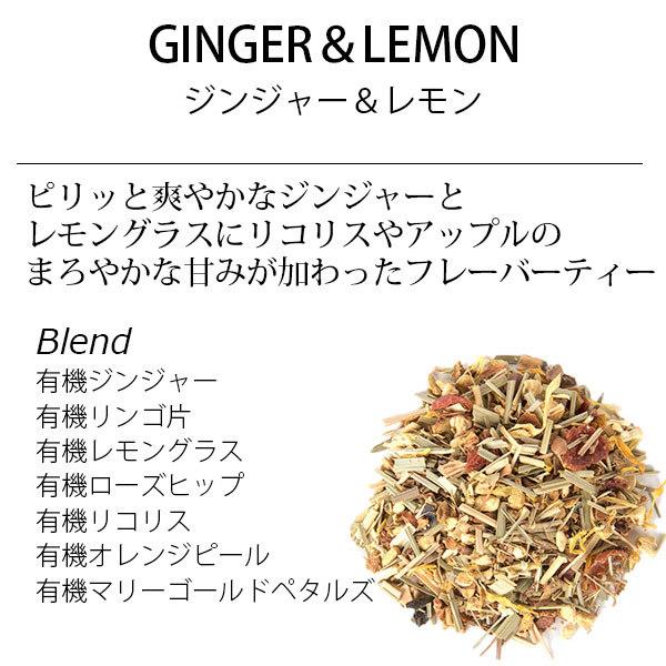 半額 50 Off 訳あり 特価 紅茶 ポイント消化 ジンジャー ティーブリューワー 人気急上昇 レモン オーガニック