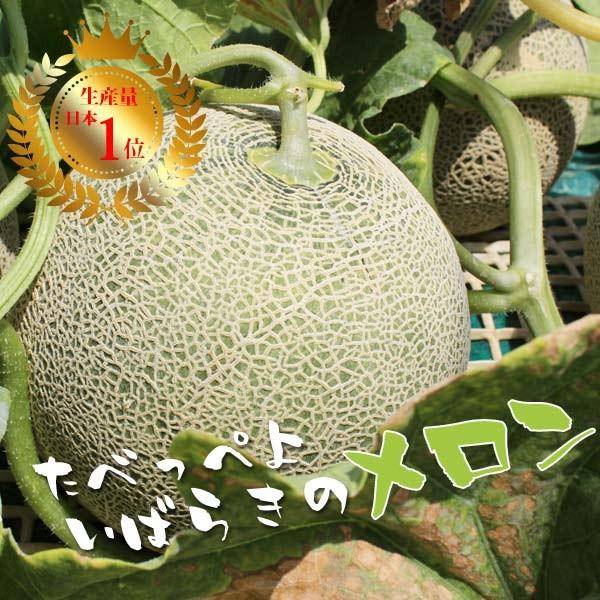 7月6日以降順次出荷 茨城メロン イバラキング 2玉特大 5L 鉾田メロン