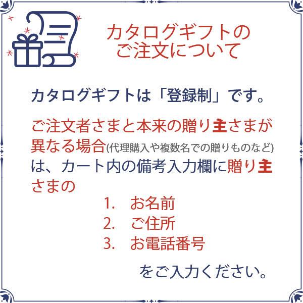 カタログギフト グルメ 味景 みかげ 碧緑 へきりょく 4180円コース シャディ アズユーライク のし 包装 メッセージカード 無料 初節句 父の日 お中元｜jyoei｜07