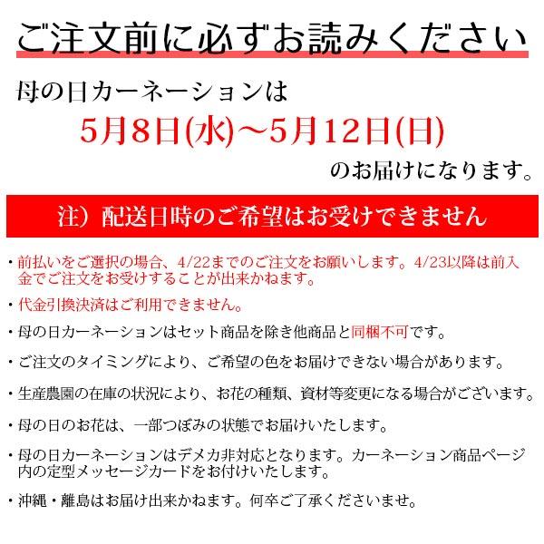 母の日 プレゼント 花 カーネーション + 和菓子 選べる和菓子セット 5号鉢 2024 スイーツ 花鉢 ギフト 花とスイーツ 送料無料｜jyoei｜25