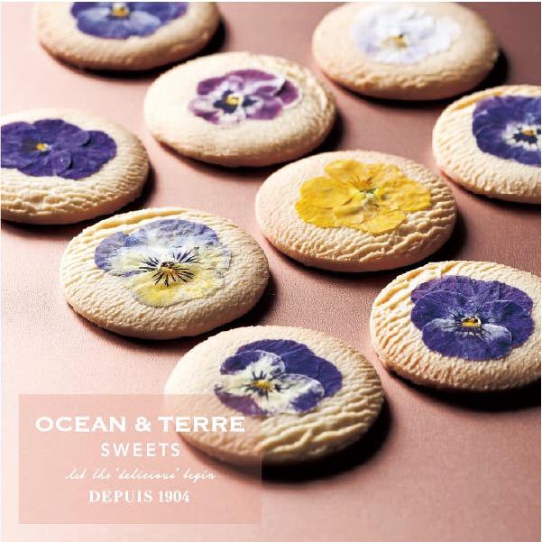 Ocean Terre オーシャンテール スイーツ エディブルフルールクッキー お花クッキー おしゃれなギフト 内祝い お返し ラッピング メッセージカード 無料 Oa As013 愛dealギフト ヤフーショップ 通販 Yahoo ショッピング