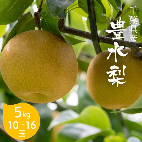 梨 豊水 5kg 9 16玉 千葉県産 なし 果物 果実 フルーツ グルメ ギフト プレゼント 贈答品 贈答用 お盆 暑中見舞い Pear Ch H002 愛dealギフト ヤフーショップ 通販 Yahoo ショッピング
