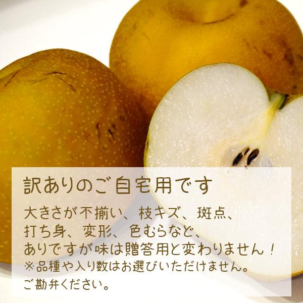 予約販売 いちかわの梨 梨 訳あり B級 自宅用 5kg 幸水 豊水 秋月 千葉