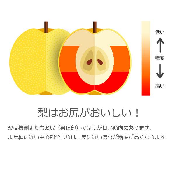 予約販売 いちかわの梨 梨 訳あり B級 自宅用 5kg 幸水 豊水 秋月 千葉