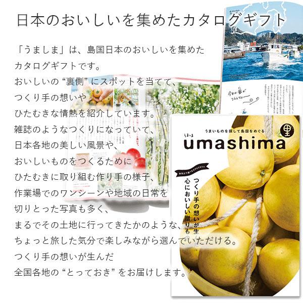 グルメ カタログギフト 送料無料 UMASHIMA うましま 詩 10900円コース お祝い 内祝い 香典返し 記念品 賞品 初節句の画像