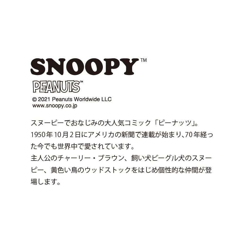 送料無料 スヌーピー 箸置き Peanuts はしおき スプーンレスト チャーリーブラウン 小皿 箸置 薬味皿 豆皿 新発売 スプーンレスト