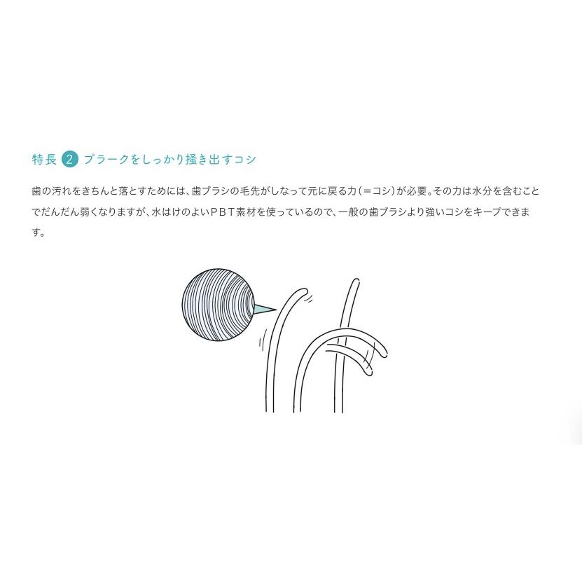 タフト 20M (ミディアム) × 25 本 セット　アソート 色指定不可 歯ブラシ 歯磨き 美白 口臭ケア むし歯 予防 |  | 02