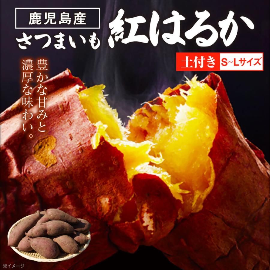 ポイント2倍) さつまいも 紅はるか 鹿児島 生芋 3kg SMLサイズ 土付き