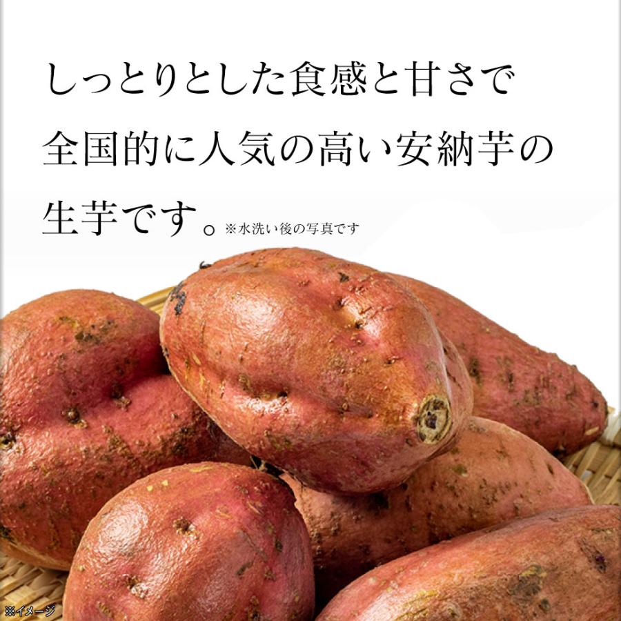 (完売御礼) さつまいも 安納芋 種子島 産 取り寄せ 生芋 3kg 1箱 Mサイズ 土付き 箱買い 送料無料 美味しい 鹿児島産 安納 芋 生 サツマイモ 焼き芋 に｜jyonetsubatake｜08