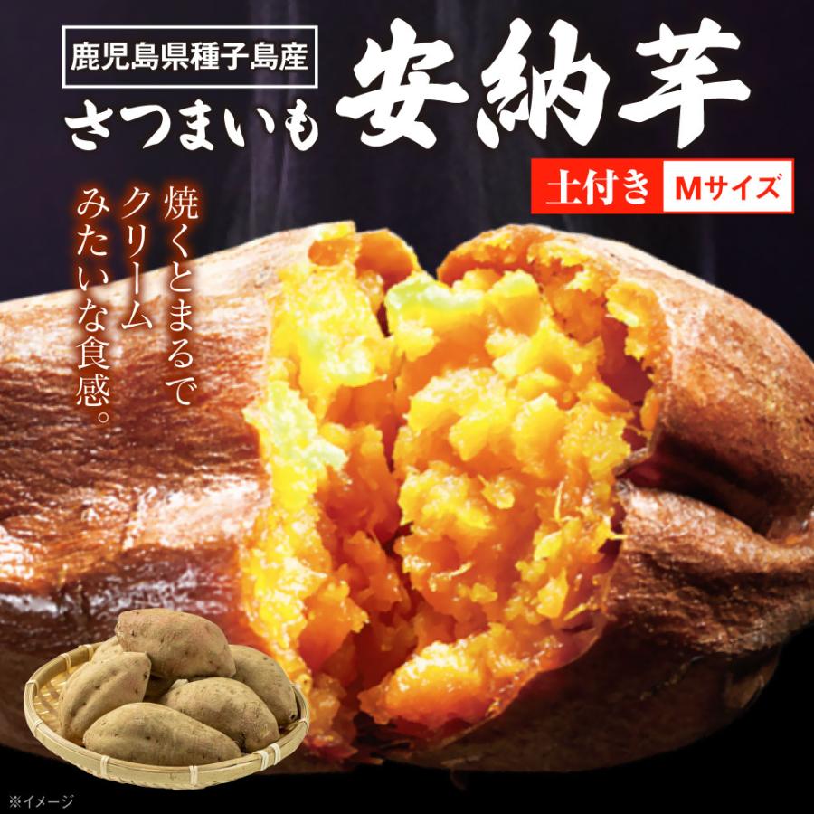 さつまいも 安納芋 種子島 産 生芋 3kg Mサイズ 土付き 地元 鹿児島県