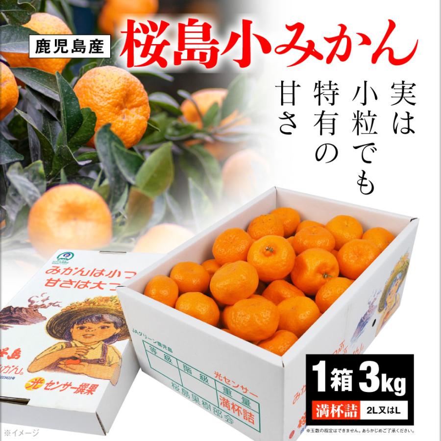 終売間近) みかん 鹿児島 小みかん 桜島 小ミカン 3kg 1箱 送料 終売間近) みかん 鹿児島 小みかん 桜島 小ミカン 3kg 1箱 送料