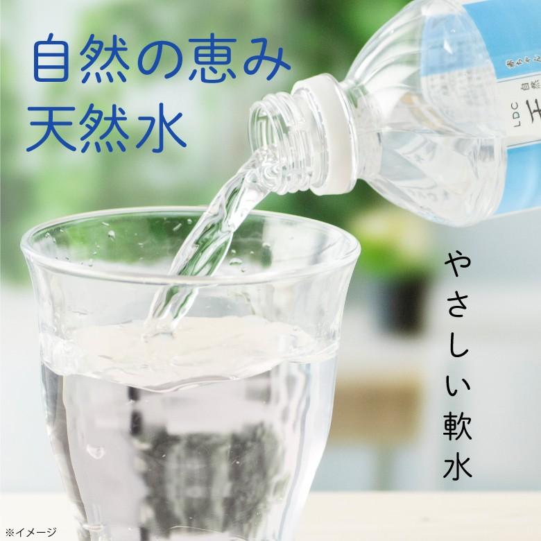 最短当日出荷 1本当たり52円 ミネラルウォーター 500ml 24本 Ldc 栃木産 自然の恵み 天然水 情熱畑 Paypayモール店 通販 Paypayモール