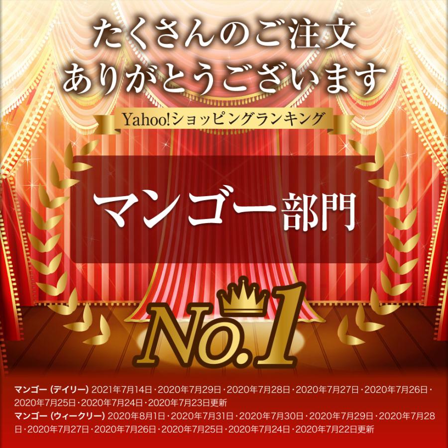 ポイント3倍) マンゴー 沖縄 家庭用 訳あり JAおきなわ 完熟マンゴー