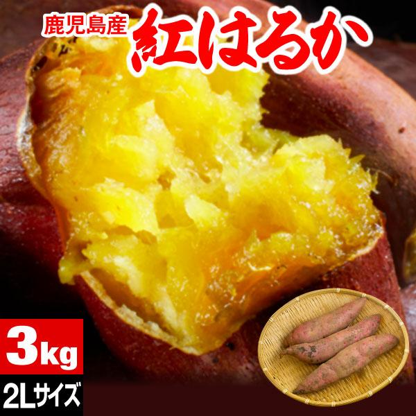 さつまいも 紅はるか 鹿児島 生芋 3kg 2Lサイズ 土付き 産地直送 鹿児島県産 べにはるか 爆買（Yahoo!・情熱畑 Yahoo!店）