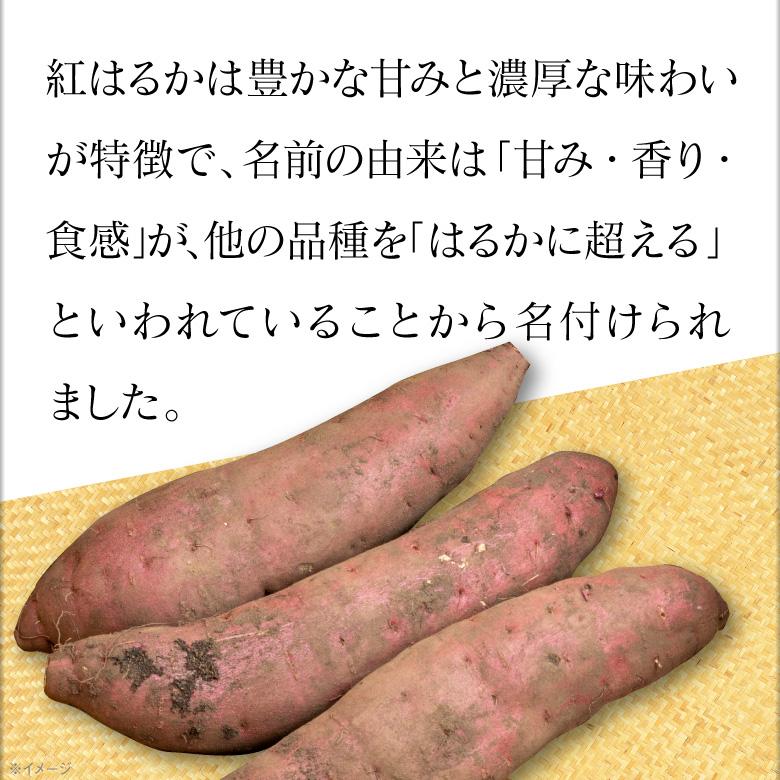 (完売御礼) さつまいも 紅はるか 鹿児島 取り寄せ 生芋 3kg 1箱 2L 土付き 箱買い べにはるか 送料無料 美味しい 鹿児島県 大隅産 生 サツマイモ 焼き芋｜jyonetsubatake｜04