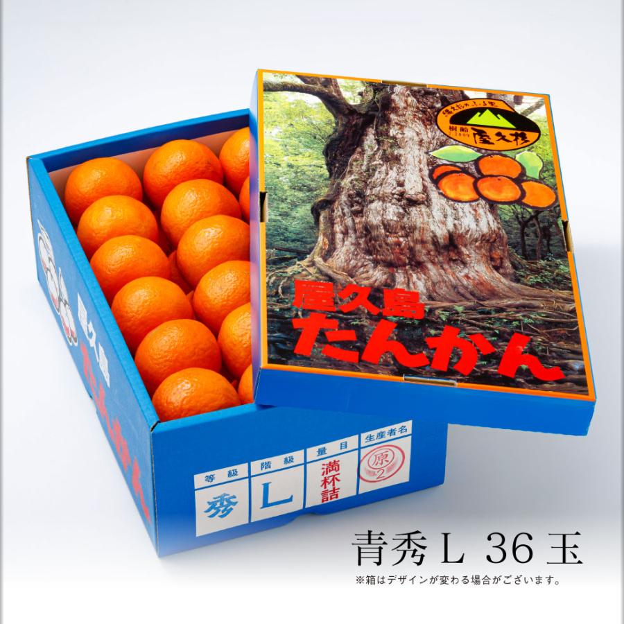 今年も完売御礼) たんかん 屋久島 産 5kg 青秀 Lサイズ 濃厚な甘さ