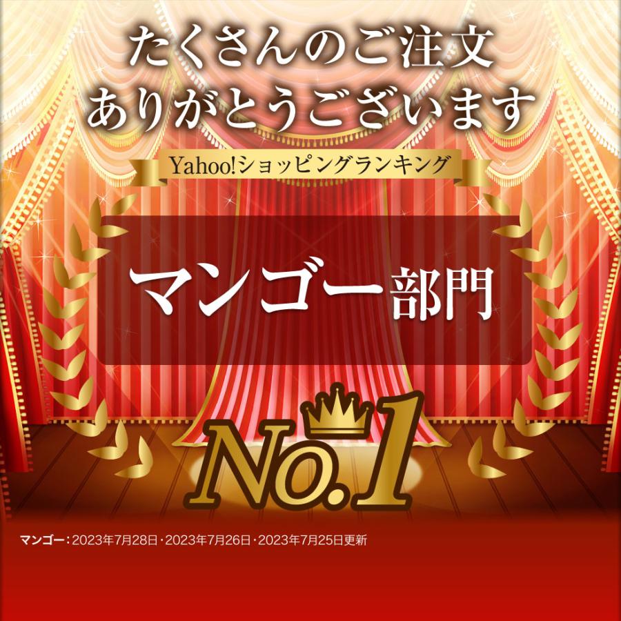 マンゴー 沖縄 秀品 JAおきなわ ギフト 1kg 完熟マンゴー アップル