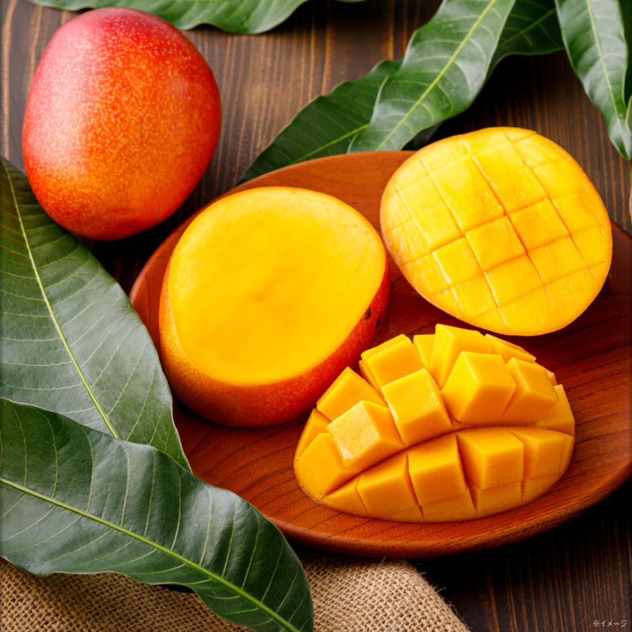 マンゴー 沖縄 秀品 JAおきなわ ギフト 1kg 完熟マンゴー アップル