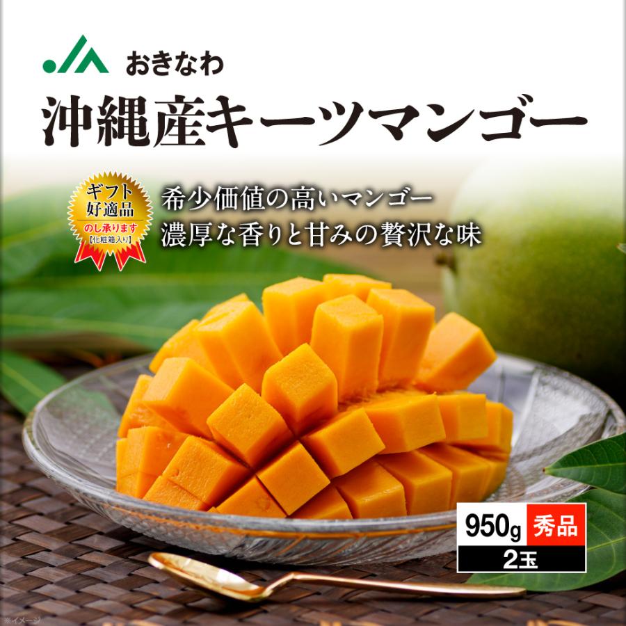 マンゴー 沖縄 キーツマンゴー 2玉入り ギフト JAおきなわ 完熟