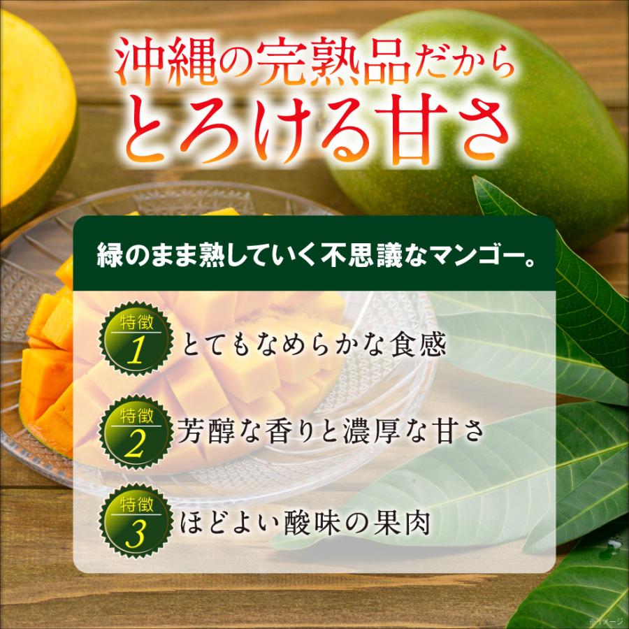ポイント2倍) マンゴー 沖縄 キーツマンゴー 2玉入り ギフト JA