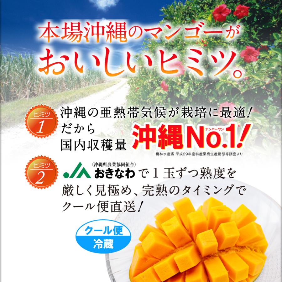 マンゴー 沖縄 キーツマンゴー 2玉入り ギフト JAおきなわ 完熟