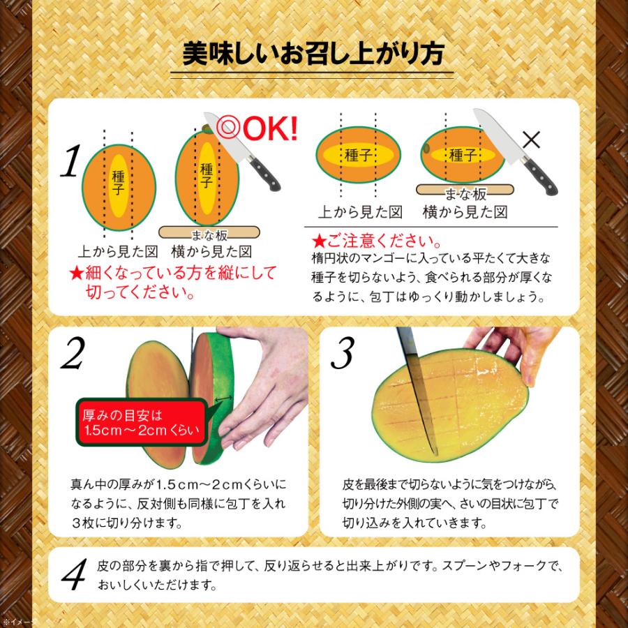 マンゴー 沖縄 キーツマンゴー 2玉入り ギフト JAおきなわ 完熟
