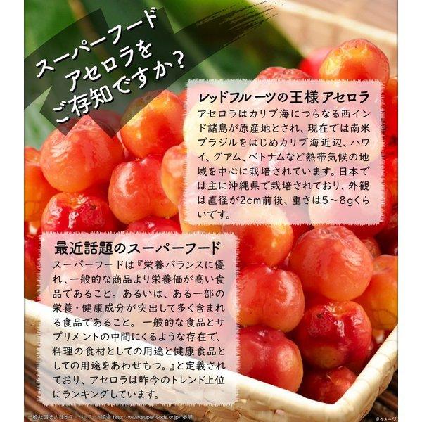 国産 アセロラ 家庭用 訳あり 冷凍 1kg 沖縄県 石垣島産 果実 500g入 2